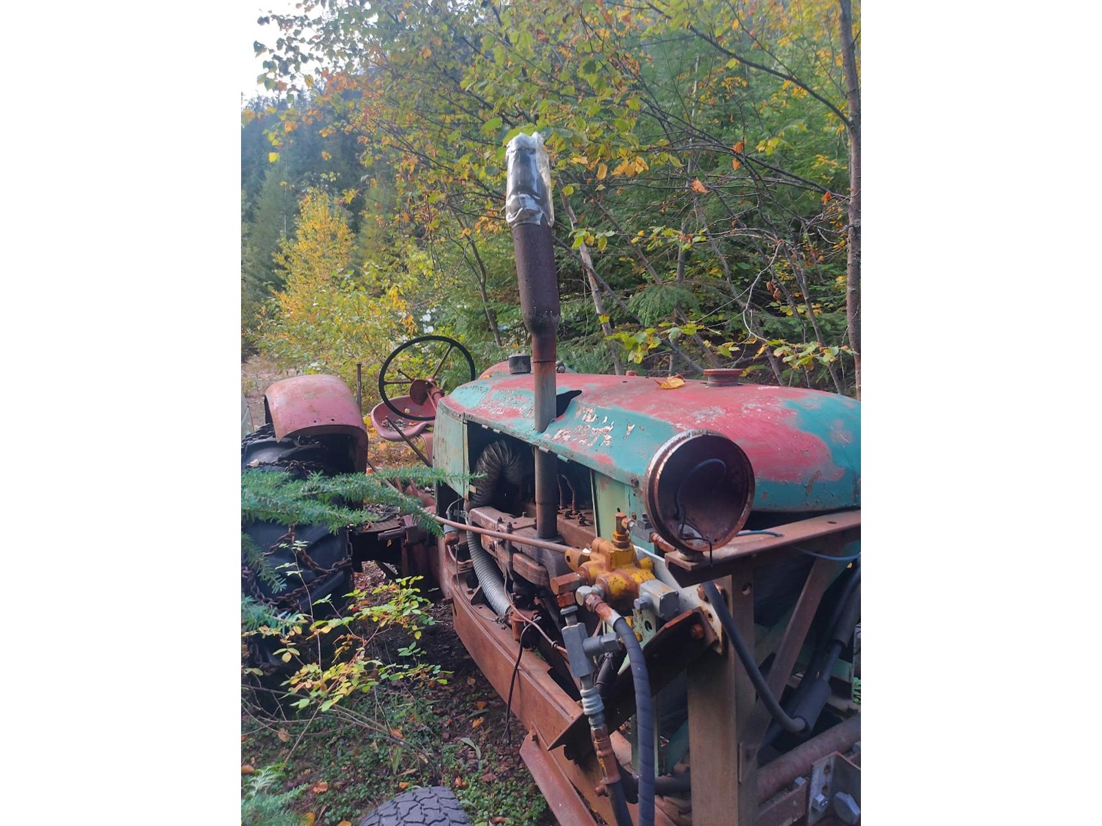 For sale 2345 SHEEP CRK FRST RD, Salmo, British Columbia V0G1Z0