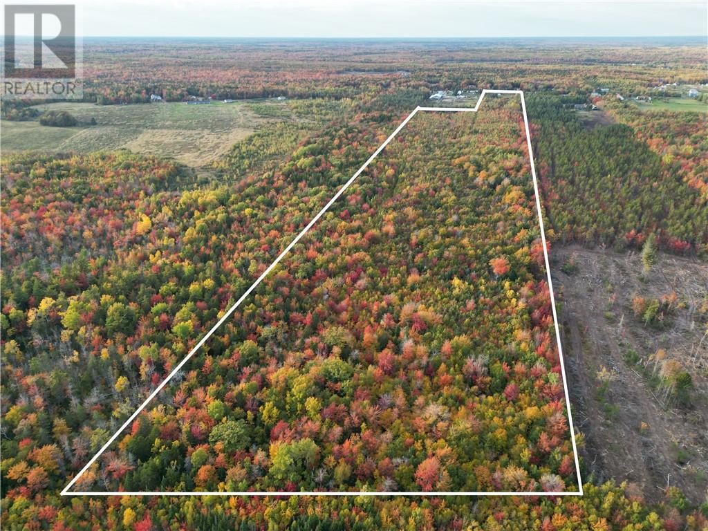 For sale Lot Scotch Settlement RD, Irishtown, New Brunswick E1H1R1 M147615 REALTOR.ca