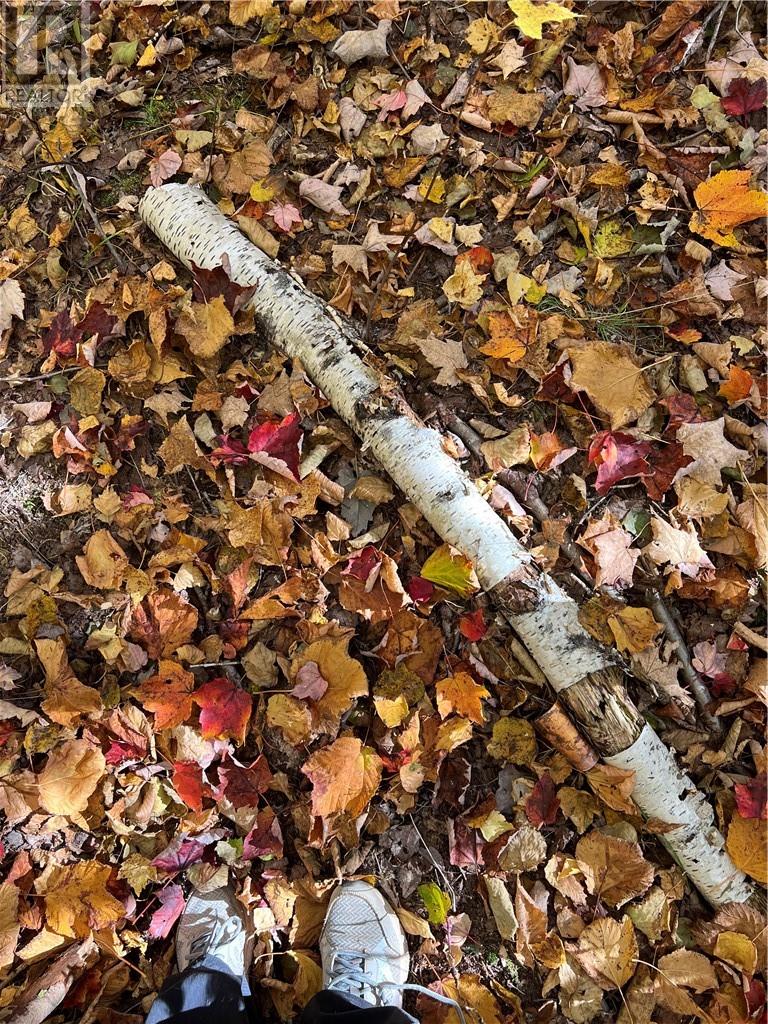 For sale Lot Scotch Settlement RD, Irishtown, New Brunswick E1H1R1