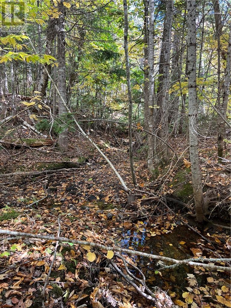For sale Lot Scotch Settlement RD, Irishtown, New Brunswick E1H1R1