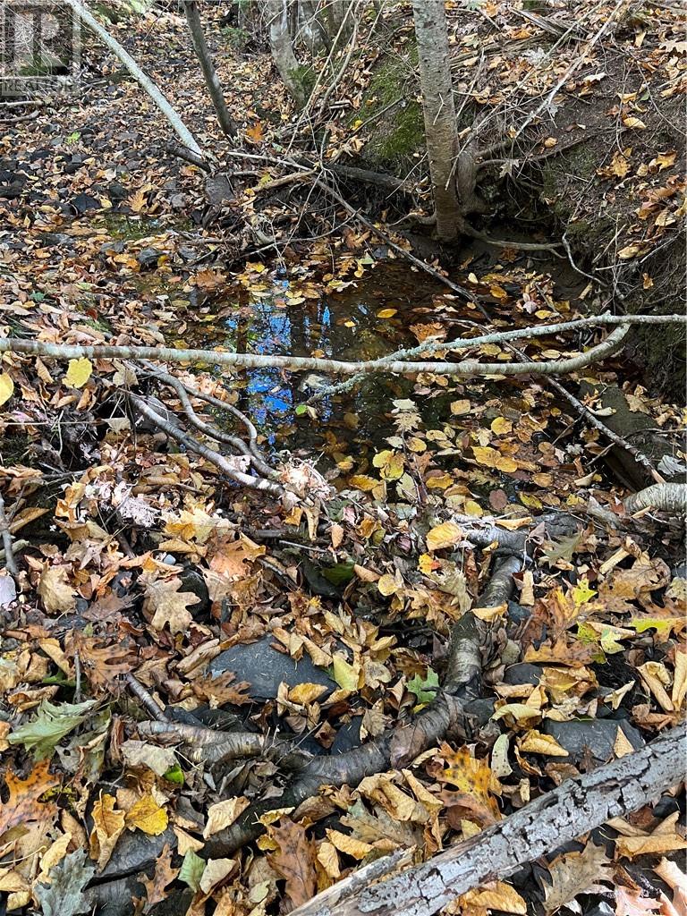 For sale Lot Scotch Settlement RD, Irishtown, New Brunswick E1H1R1