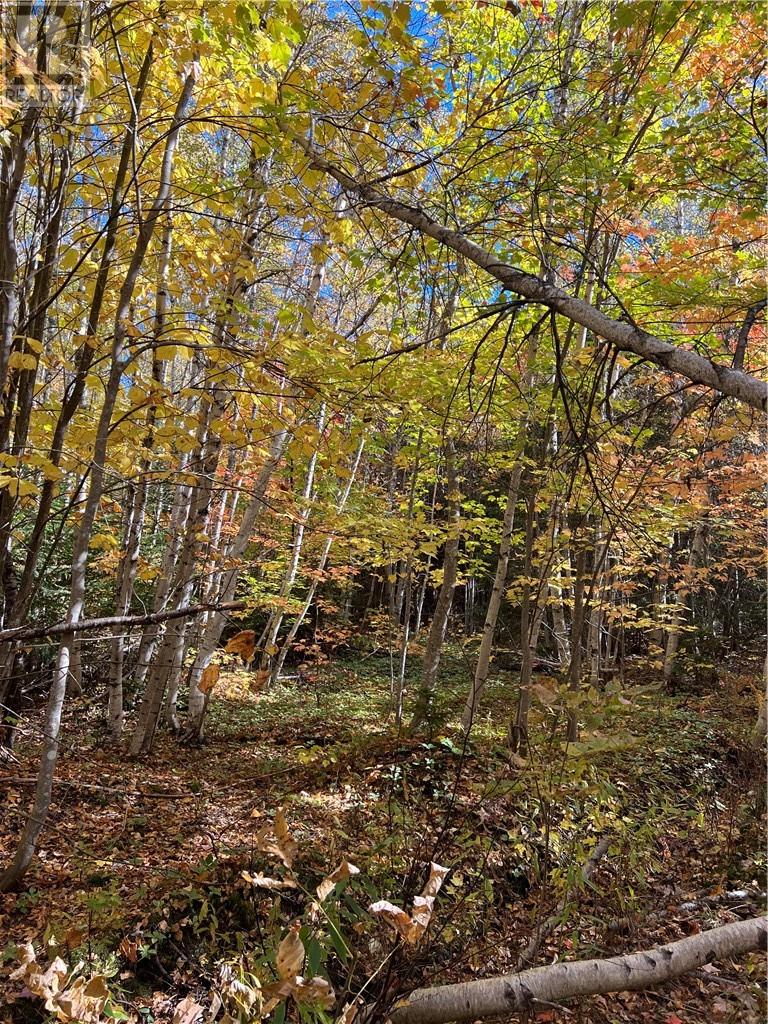For sale Lot Scotch Settlement RD, Irishtown, New Brunswick E1H1R1