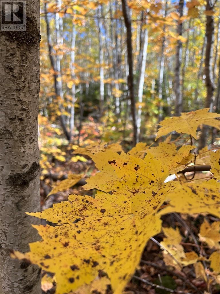 For sale Lot Scotch Settlement RD, Irishtown, New Brunswick E1H1R1