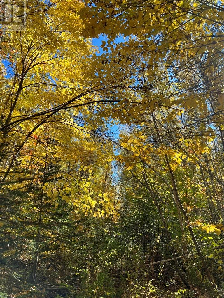 For sale Lot Scotch Settlement RD, Irishtown, New Brunswick E1H1R1