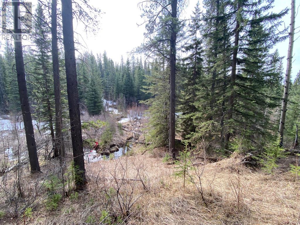For sale 5235228 SW, Rural Yellowhead County, Alberta T7V1A0