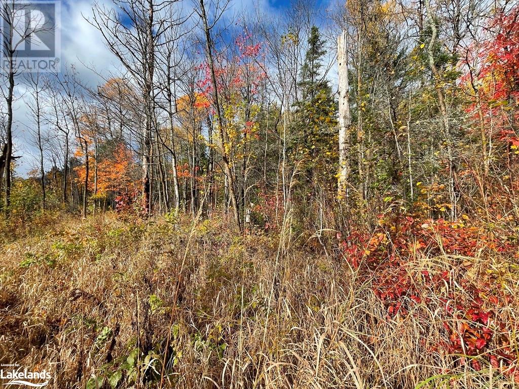 For sale LOT 3 LEMIEUX Road, North Ontario P0M2K0