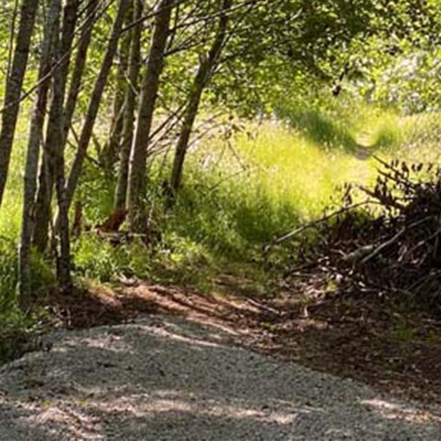 For sale LOT 6 CUDMORE ROAD, Salt Spring Island, British Columbia V8K2Y1 R2745031 REALTOR.ca
