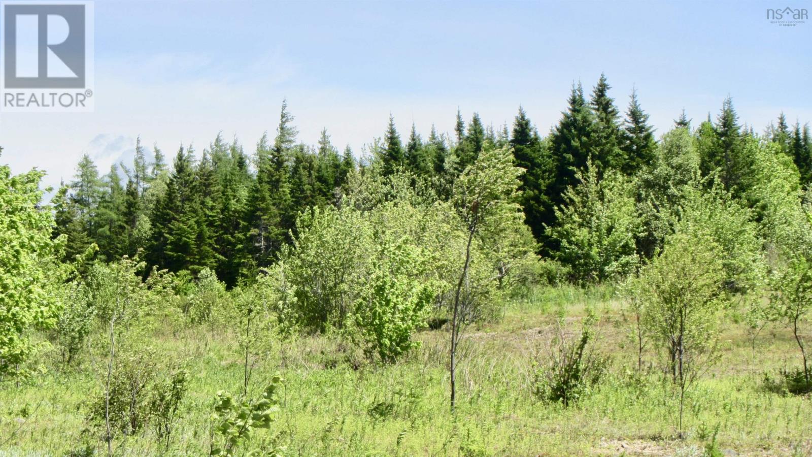 For sale Lot 7 Caribou Marsh Road, Caribou Marsh, Nova Scotia B1M1B5