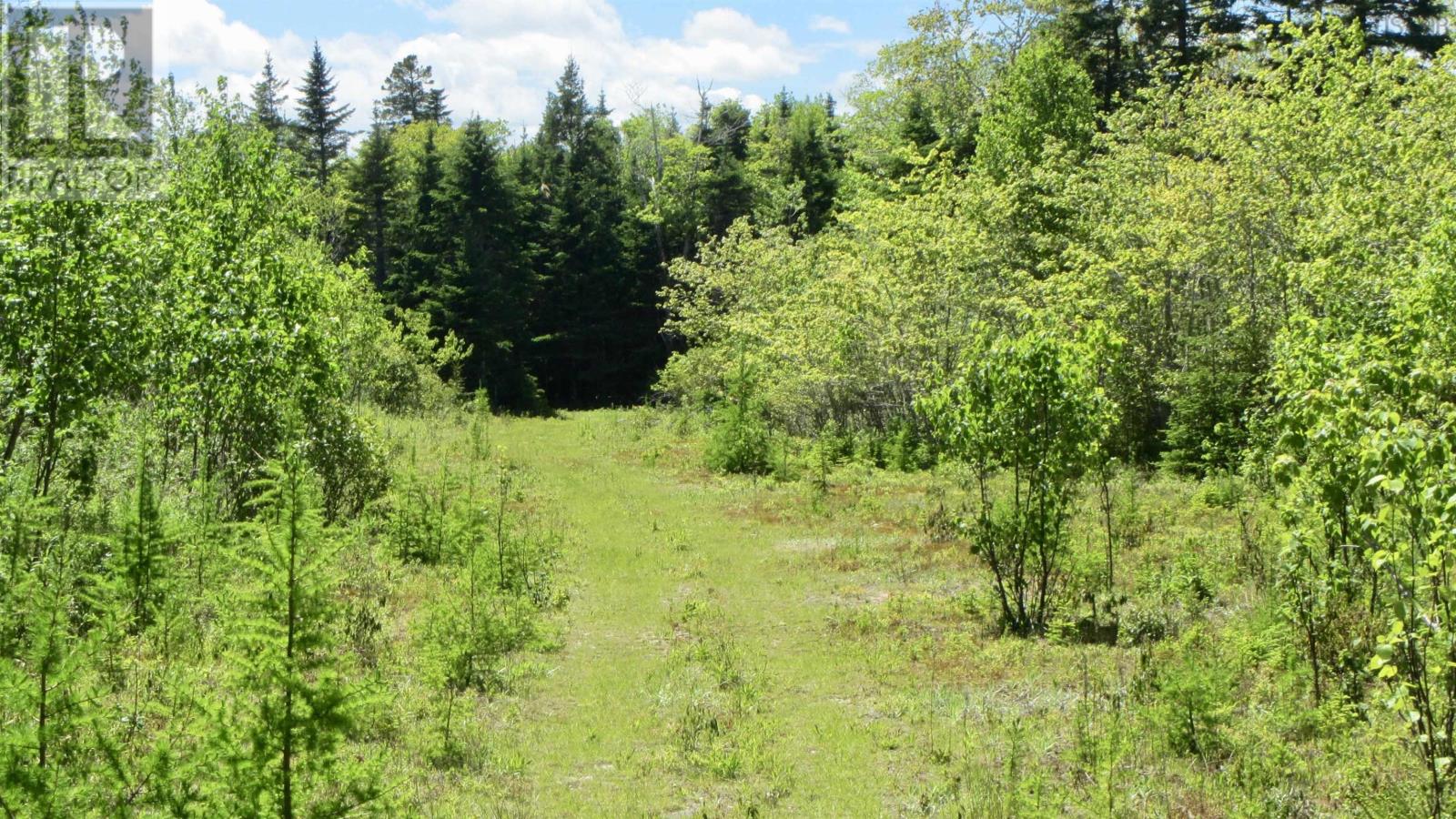 For sale Lot 7 Caribou Marsh Road, Caribou Marsh, Nova Scotia B1M1B5
