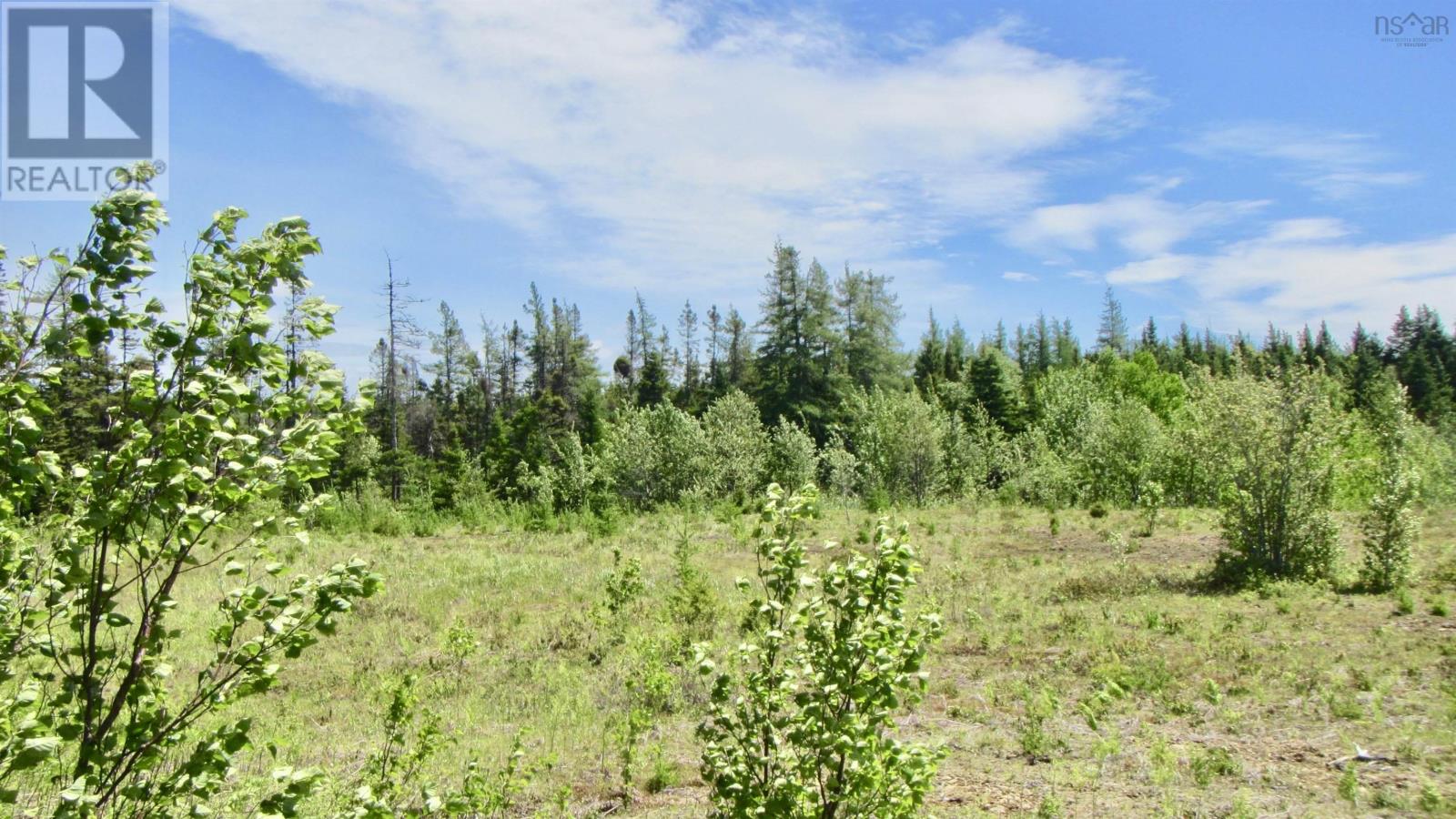 For sale Lot 7 Caribou Marsh Road, Caribou Marsh, Nova Scotia B1M1B5