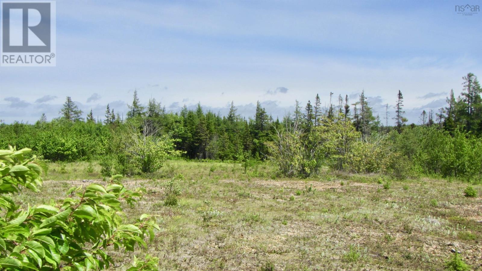 For sale Lot 7 Caribou Marsh Road, Caribou Marsh, Nova Scotia B1M1B5