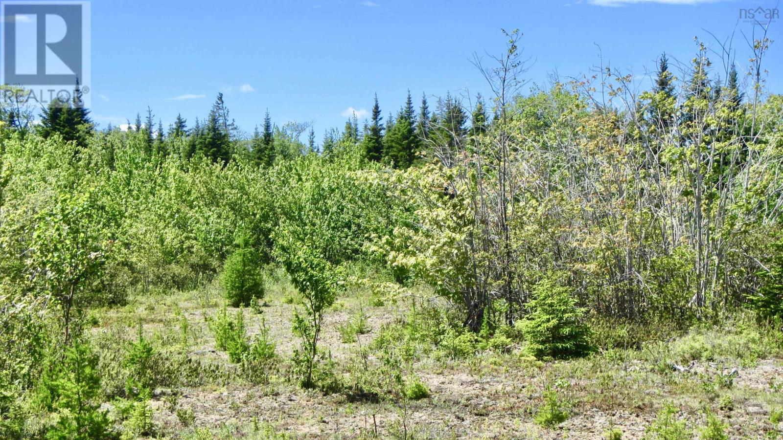 For sale Lot 7 Caribou Marsh Road, Caribou Marsh, Nova Scotia B1M1B5