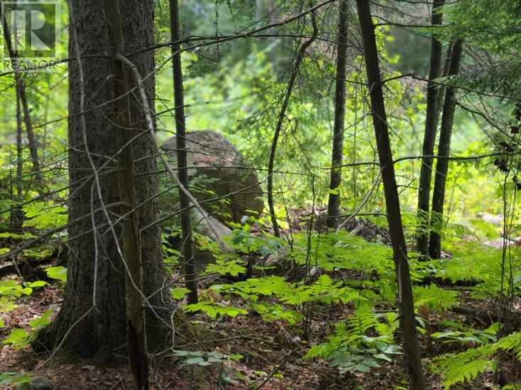 For sale 20 PEPLINSKIE HOMESTEAD ROAD, Wilno, Ontario K0J2N0 1329454