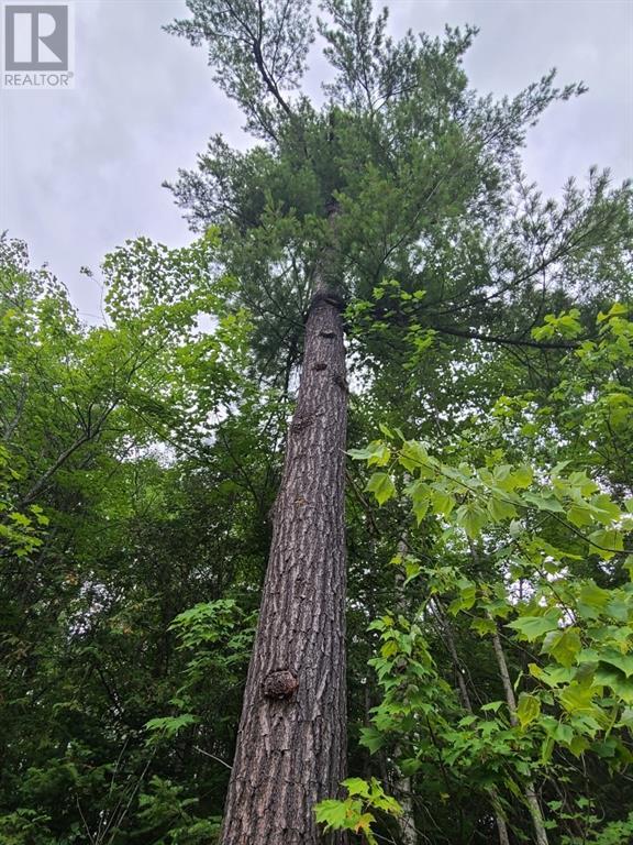 For sale 20 PEPLINSKIE HOMESTEAD ROAD, Wilno, Ontario K0J2N0 1329454