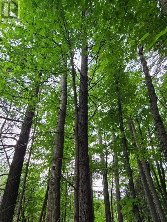 For sale 20 PEPLINSKIE HOMESTEAD ROAD, Wilno, Ontario K0J2N0 1329454