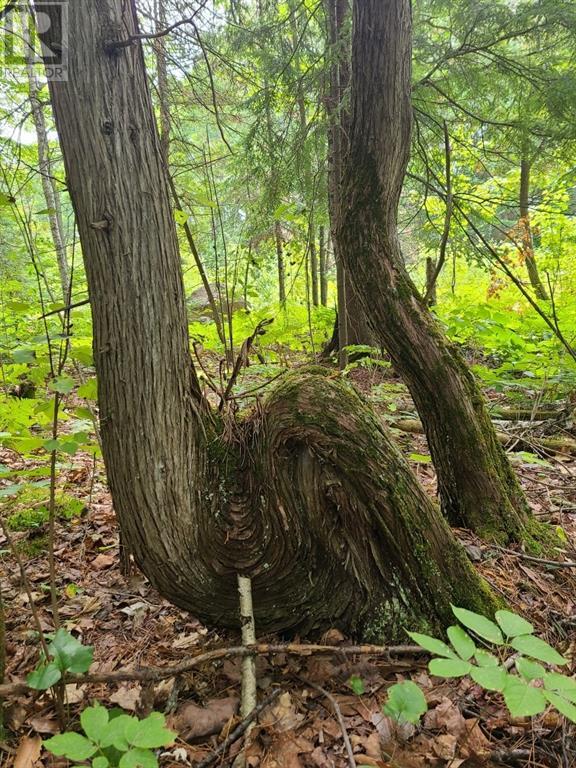 For sale 20 PEPLINSKIE HOMESTEAD ROAD, Wilno, Ontario K0J2N0 1329454