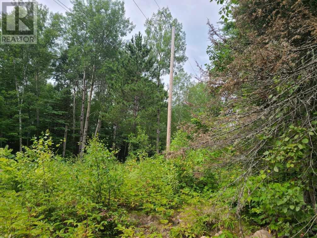 For sale 20 PEPLINSKIE HOMESTEAD ROAD, Wilno, Ontario K0J2N0 1329454 REALTOR.ca