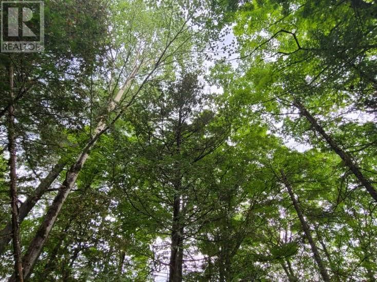 For sale 20 PEPLINSKIE HOMESTEAD ROAD, Wilno, Ontario K0J2N0 1329454