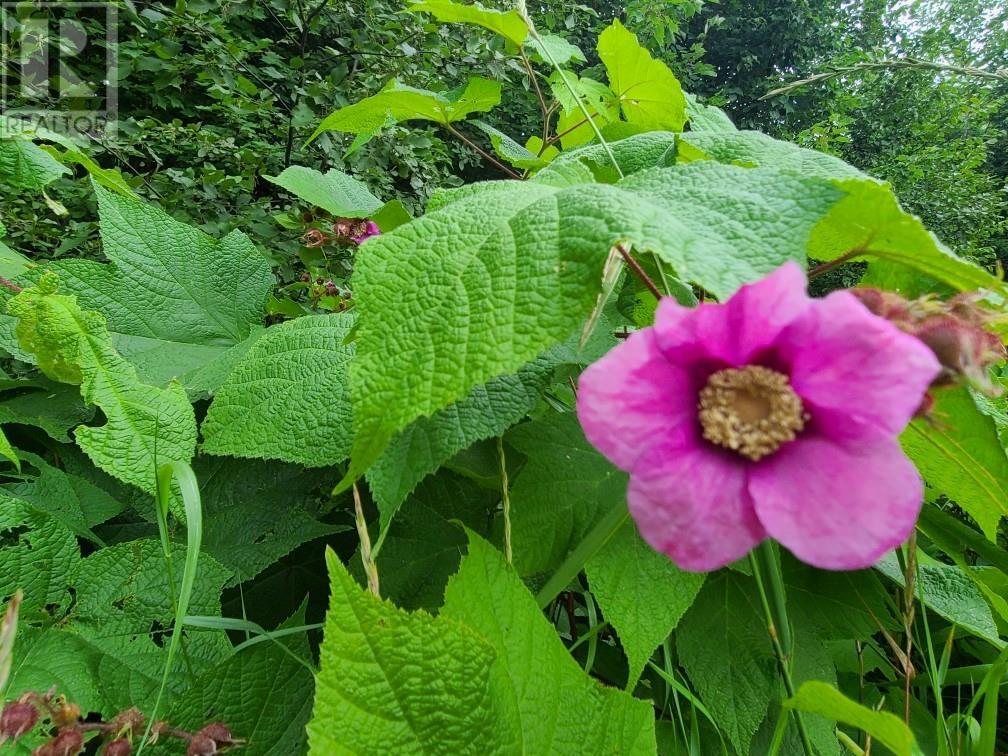 For sale 20 PEPLINSKIE HOMESTEAD ROAD, Wilno, Ontario K0J2N0 1329454