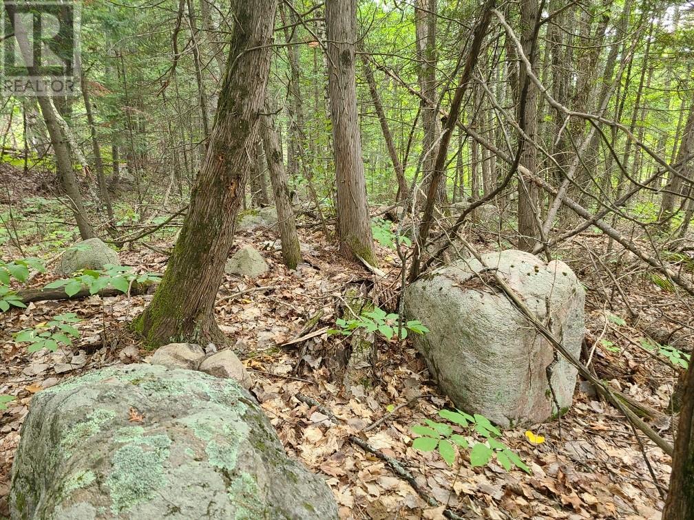 For sale 20 PEPLINSKIE HOMESTEAD ROAD, Wilno, Ontario K0J2N0 1329454