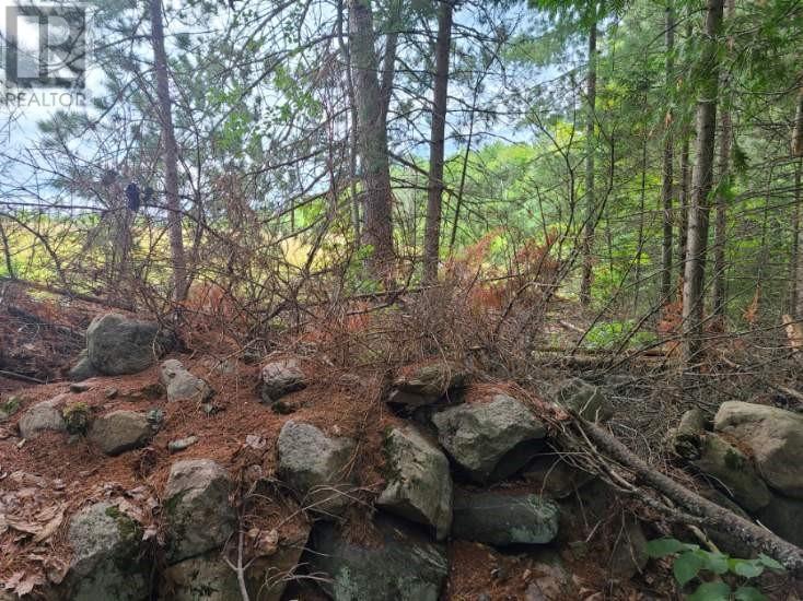 For sale 20 PEPLINSKIE HOMESTEAD ROAD, Wilno, Ontario K0J2N0 1329454