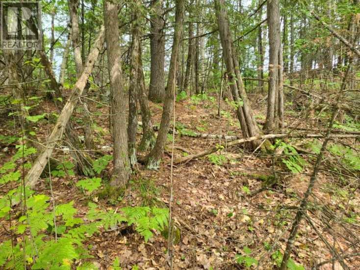 For sale 20 PEPLINSKIE HOMESTEAD ROAD, Wilno, Ontario K0J2N0 1329454