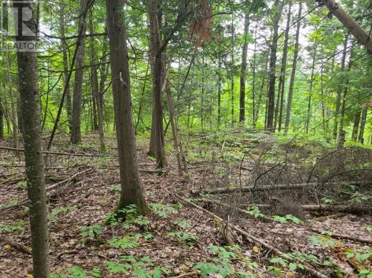 For sale 20 PEPLINSKIE HOMESTEAD ROAD, Wilno, Ontario K0J2N0 1329454