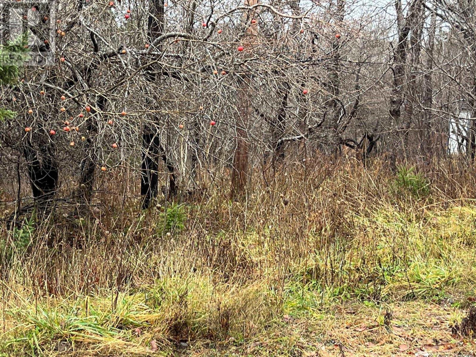 For sale 0 Mountain Road, Nova Scotia B0E3M0