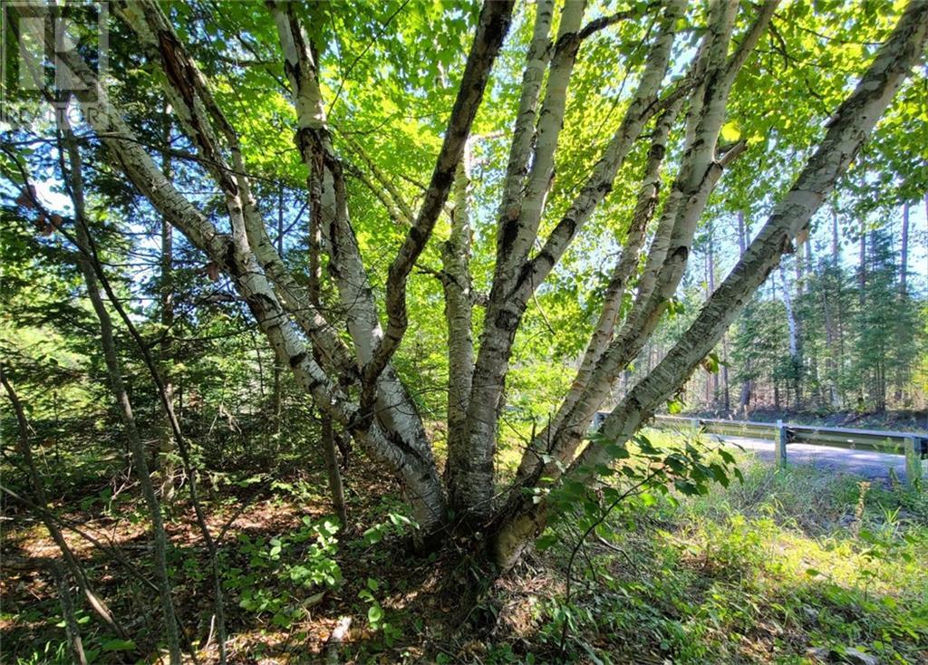 For sale Pt Lt 8 OLD BARRYS BAY ROAD, Combermere, Ontario K0J1L0