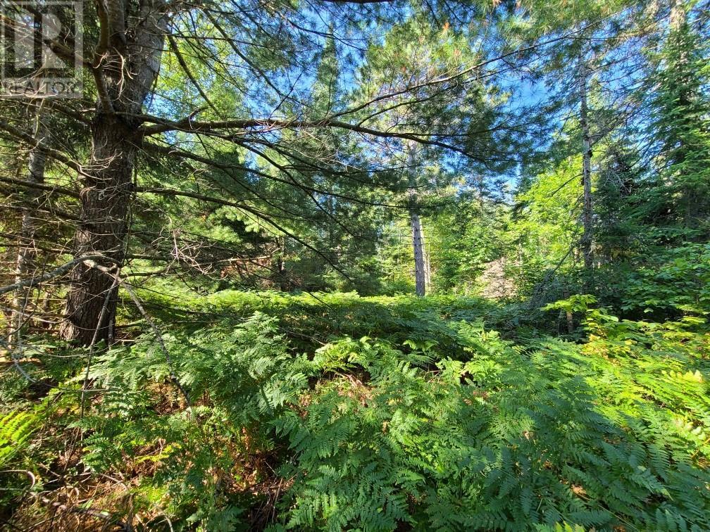 For sale Pt Lt 8 OLD BARRYS BAY ROAD, Combermere, Ontario K0J1L0