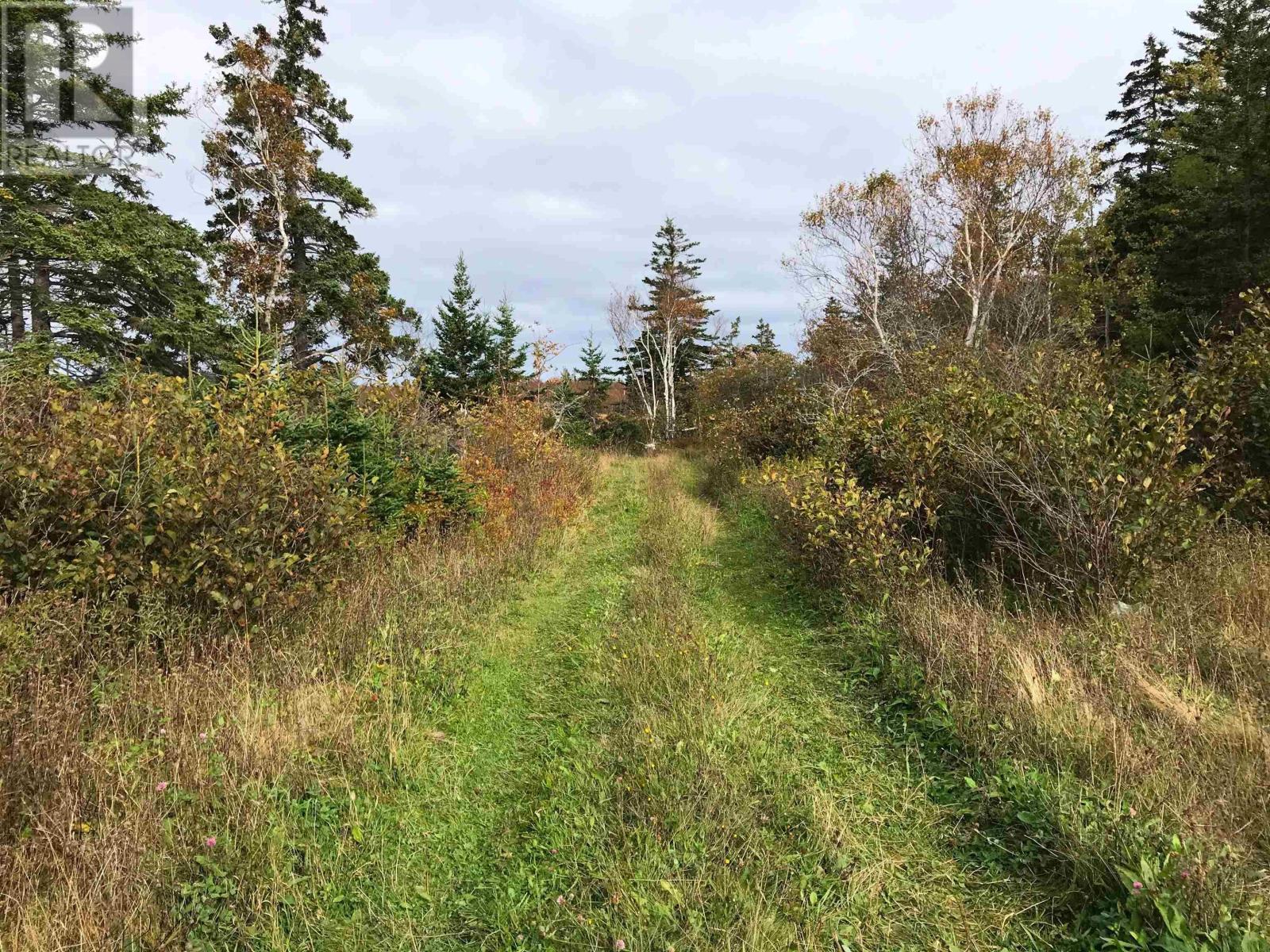 For sale 0 South Head Road, Homeville, Nova Scotia B1B0A1 202302951