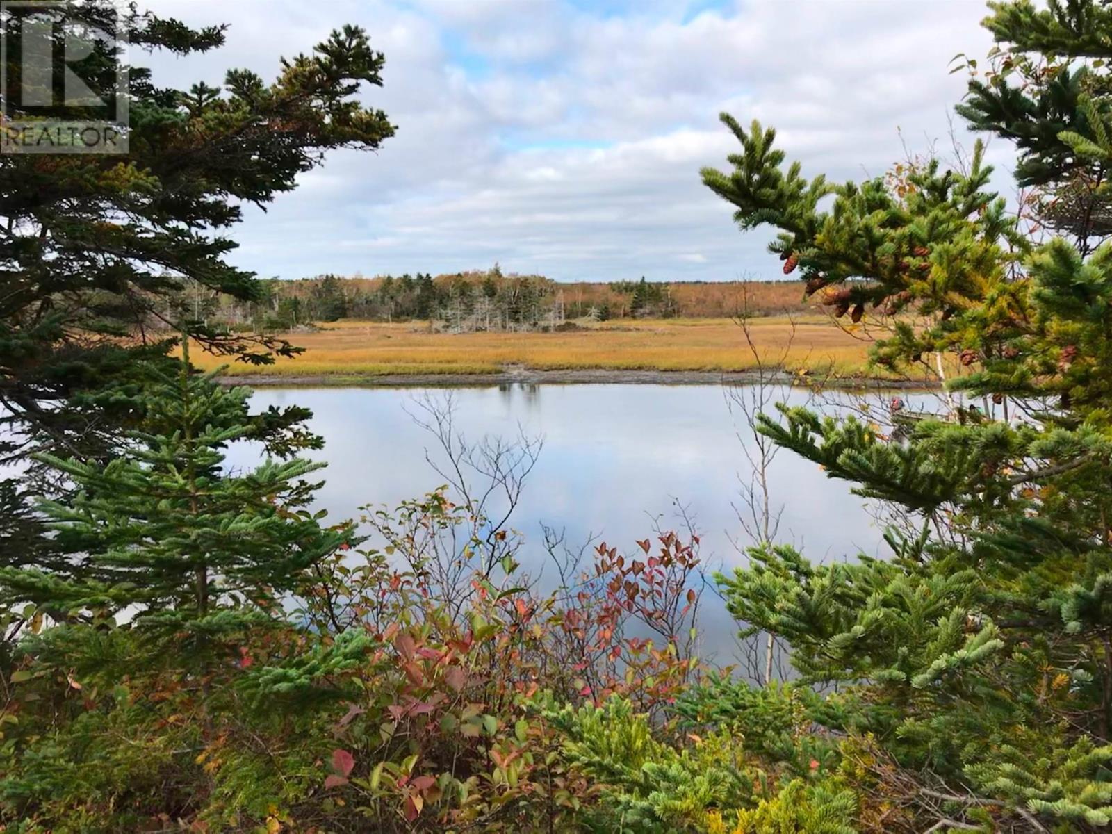 For sale 0 South Head Road, Homeville, Nova Scotia B1B0A1 202302951