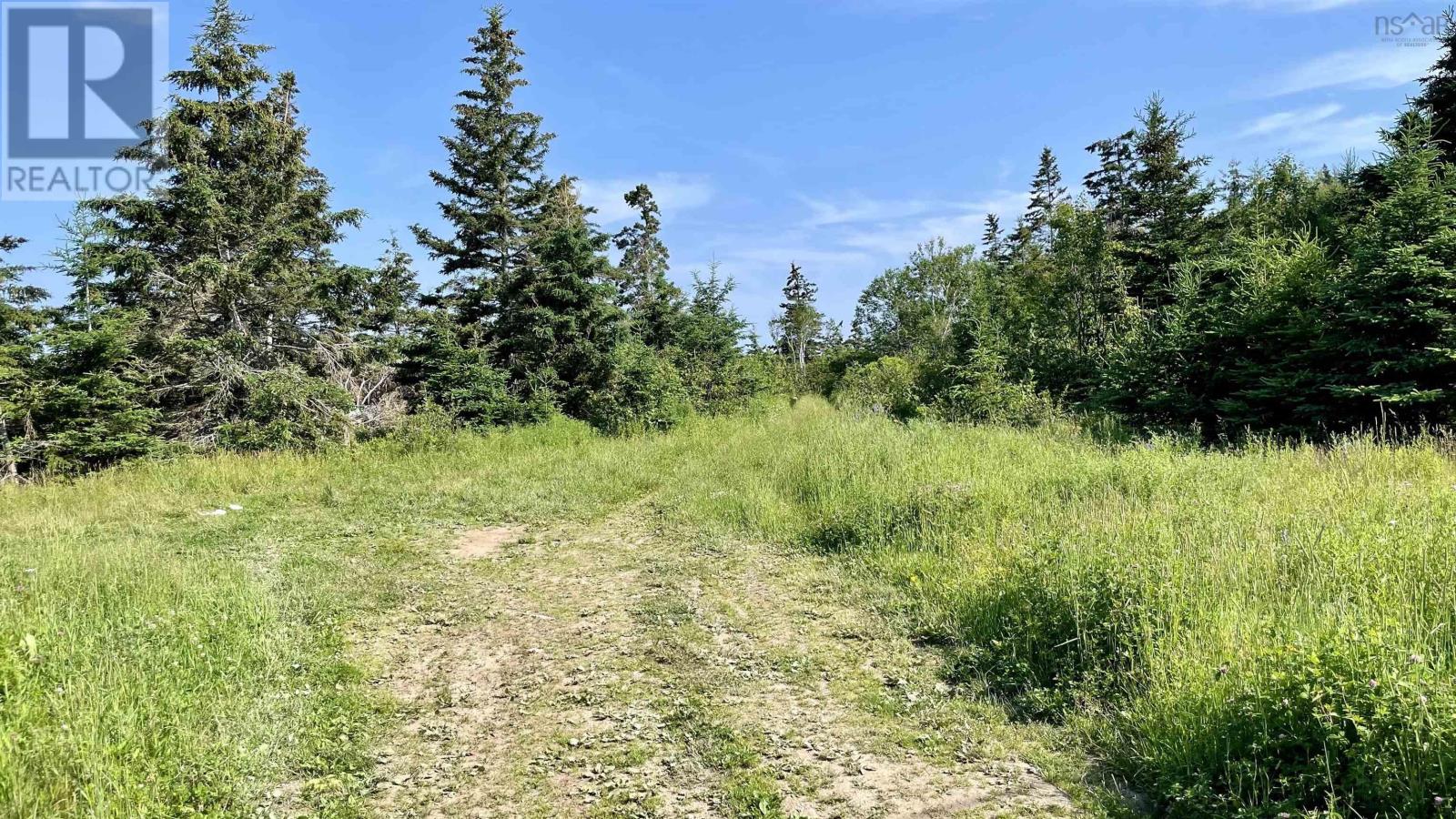 For sale 0 South Head Road, Homeville, Nova Scotia B1B0A1 202302951