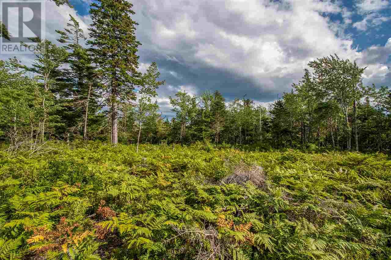 For sale Lot Feltzen South Road, Feltzen, Nova Scotia B0J2X0
