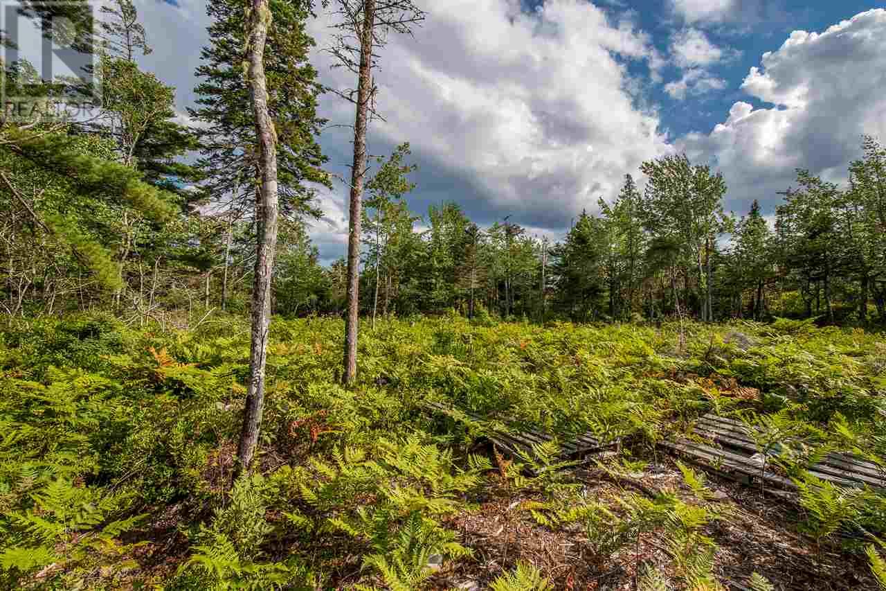 For sale Lot Feltzen South Road, Feltzen, Nova Scotia B0J2X0