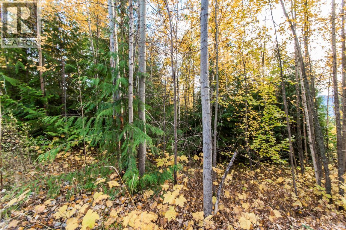 For sale Lot 174 Anglemont Drive,, Anglemont, British Columbia V0E1A0