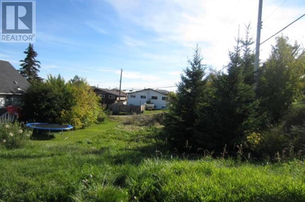 For sale 4804 47 Avenue, Innisfail, Alberta T4G1N6 A1258133 REALTOR.ca