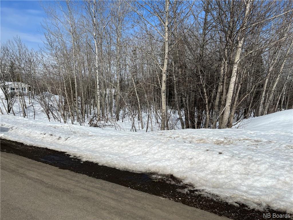 For sale lot Principale Street, Eel River Crossing, New Brunswick