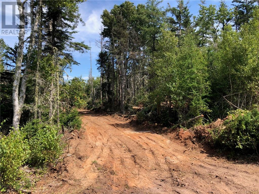 For sale Lot 0418 Edgewater LANE, Little Shemogue, New Brunswick