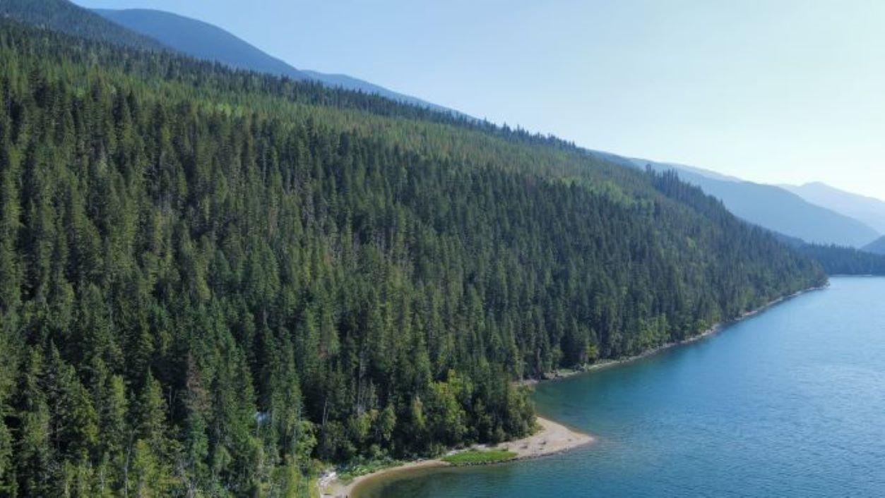 For sale 8447 HIGHWAY 31, Trout Lake, British Columbia V0G1R1