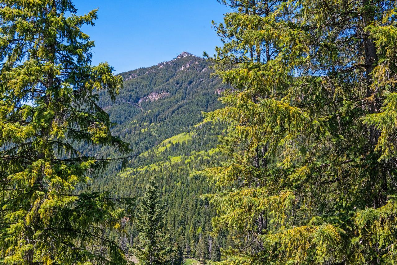 For sale 2136 PANORAMA DRIVE, Panorama, British Columbia V0A1T0