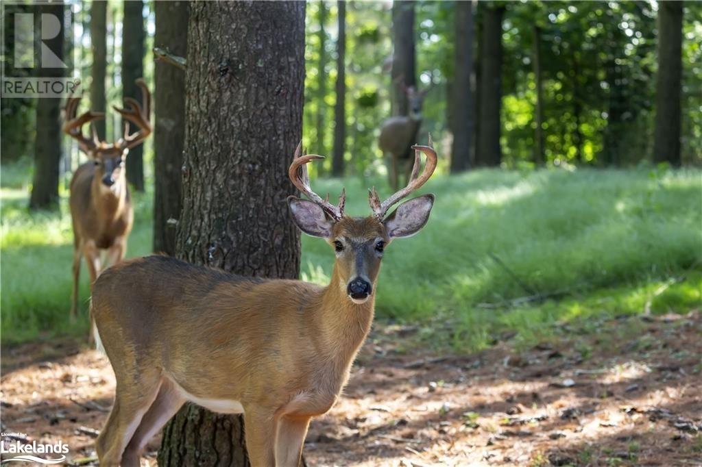 For sale LOT 3 LEMIEUX Road, North Ontario P0M2K0