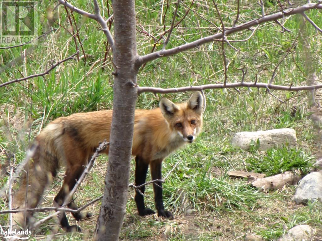 For sale LOT 3 LEMIEUX Road, North Ontario P0M2K0