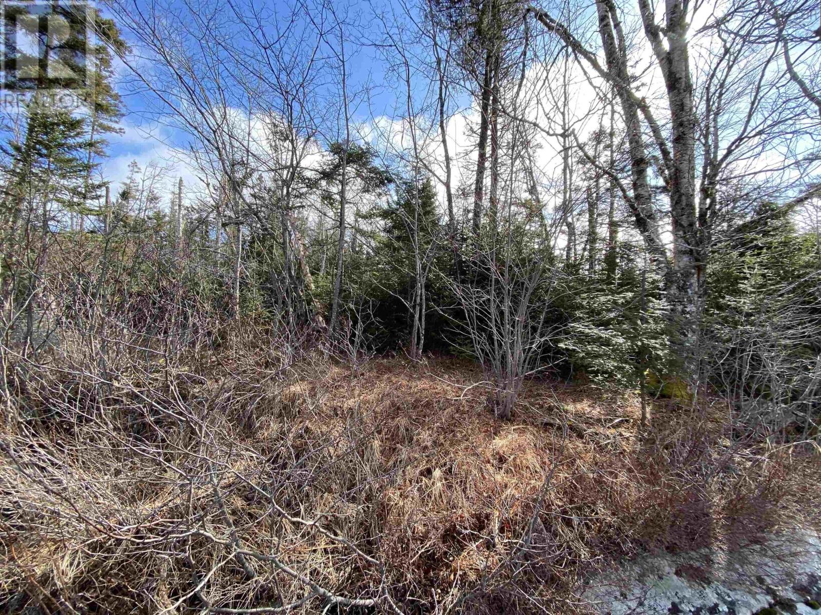 For sale Lot Nauglers Settlement Road, Moser River, Nova Scotia B0J2R0 202306296 REALTOR.ca