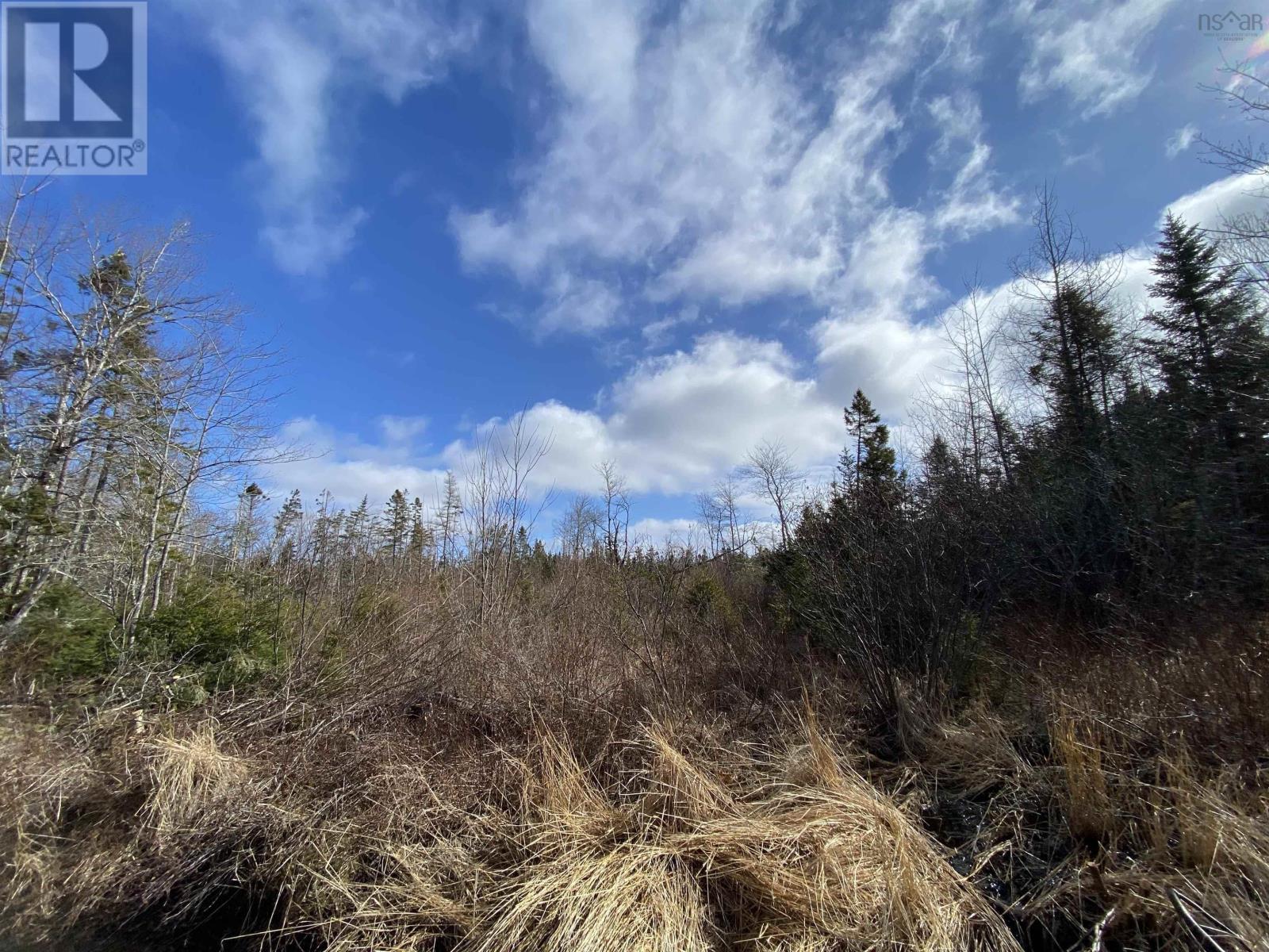 For sale Lot Nauglers Settlement Road, Moser River, Nova Scotia B0J2R0 202306296 REALTOR.ca