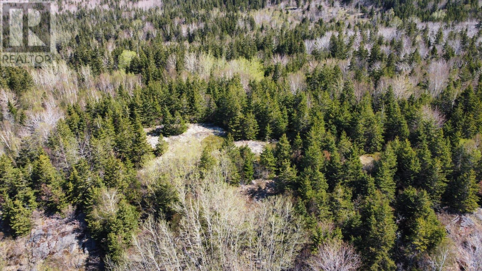 For sale 1098 Highway 19, Troy, Nova Scotia B9A1E8 202306313