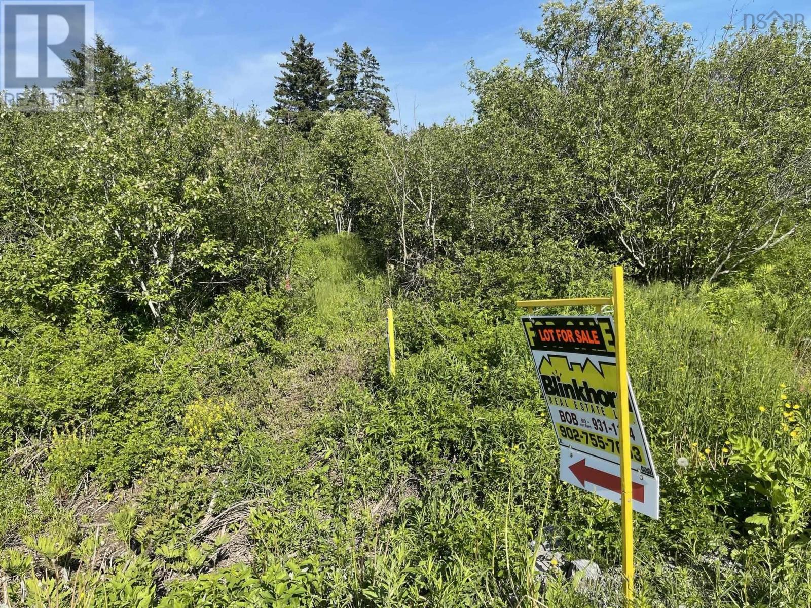 For sale Lot New Road, West Havre Boucher, Nova Scotia B0H1P0 202227585 REALTOR.ca
