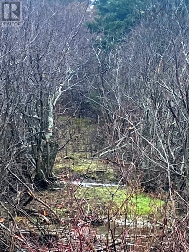 For sale Lot New Road, West Havre Boucher, Nova Scotia B0H1P0