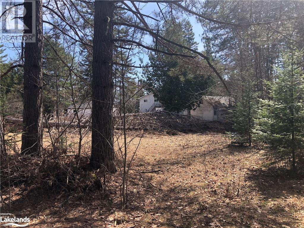 For sale 10356 HWY 124, Sundridge, Ontario P0A1Z0 40407641 REALTOR.ca