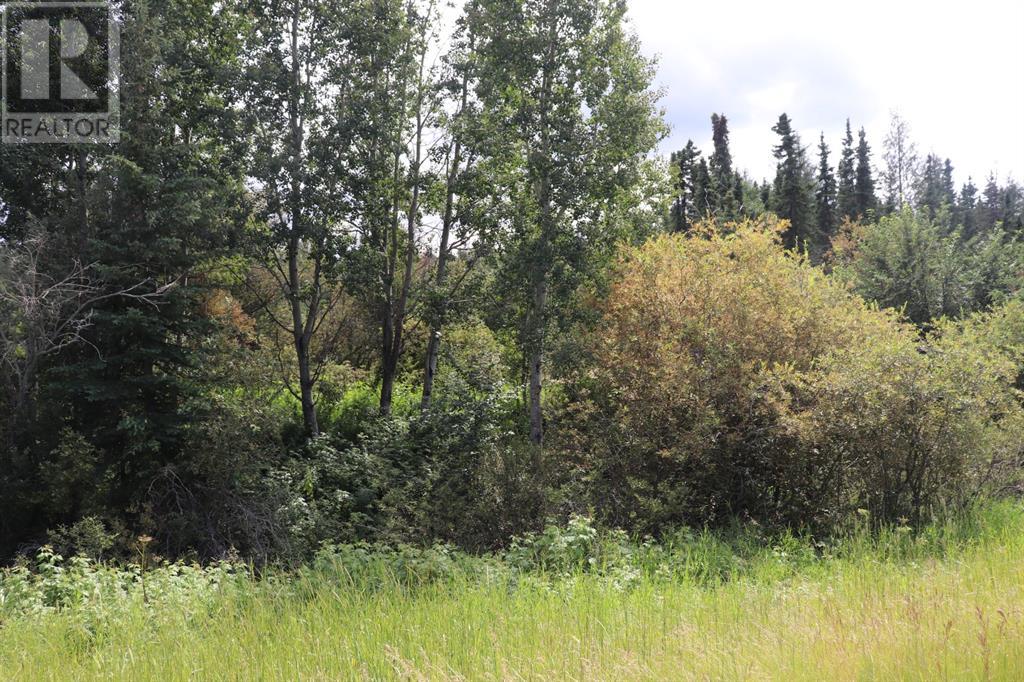 For sale: Township Road 534A Range Road 141, Rural Yellowhead County ...